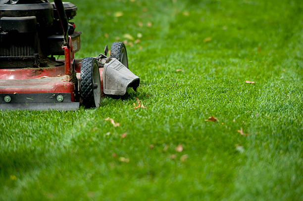 mowing grass Alton IL